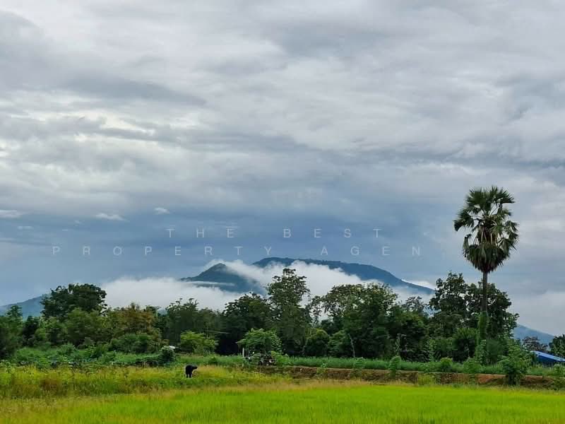 ที่ดินลาดยาว นครสวรรค์, Nakhon Sawan, Nong Yao, Lat Yao, Nakhon Sawan, , 16,000 sqm, Land For Sale, by The Best Property Agent เบ็นซ์, 500362838 - DDproperty.com