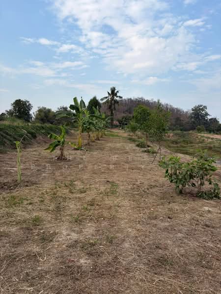 ที่ดินลาดยาว นครสวรรค์, Nakhon Sawan, Nong Yao, Lat Yao, Nakhon Sawan, , 16,000 sqm, Land For Sale, by The Best Property Agent เบ็นซ์, 500362838 - DDproperty.com