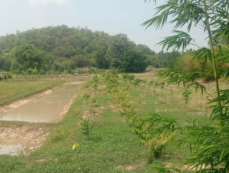 ที่ดินลาดยาว นครสวรรค์, Nakhon Sawan, Nong Yao, Lat Yao, Nakhon Sawan, , 16,000 sqm, Land For Sale, by The Best Property Agent เบ็นซ์, 500362838 - DDproperty.com