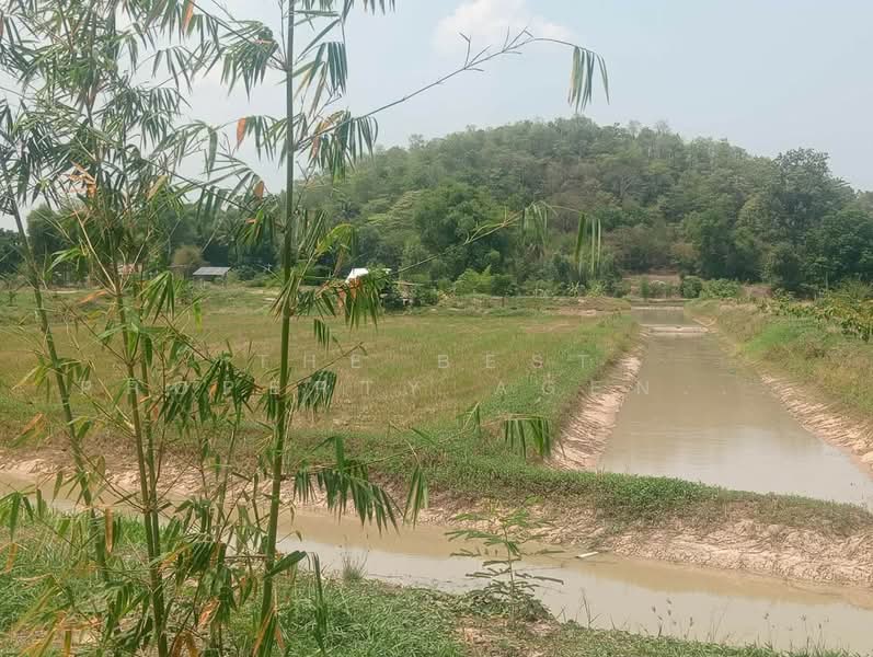 ที่ดินลาดยาว นครสวรรค์, นครสวรรค์, หนองยาว, ลาดยาว, นครสวรรค์, 16,000 ตร.ม., ที่ดิน ขาย, โดย The Best Property Agent เบ็นซ์, 500362838 - DDproperty.com