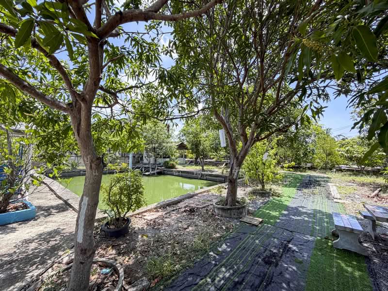 ที่ดิน พร้อมสิ่งปลูกสร้าง บ้านเดี่ยวสร้างเอง บ้านปูนชั้นเดียว บางใหญ่, Nonthaburi, Ban Mai, Bang Yai, Nonthaburi, 1 Bedroom, 150 sqm, Single Detached House For Sale, by บริษัท เอชแอล แอสเซท จำกัด, 500362864 - DDproperty.com