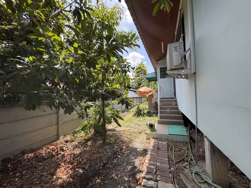 ที่ดิน พร้อมสิ่งปลูกสร้าง บ้านเดี่ยวสร้างเอง บ้านปูนชั้นเดียว บางใหญ่, นนทบุรี, บ้านใหม่, บางใหญ่, นนทบุรี, 150 ตร.ม., บ้านเดี่ยว ขาย, โดย บริษัท เอชแอล แอสเซท จำกัด, 500362864 - DDproperty.com
