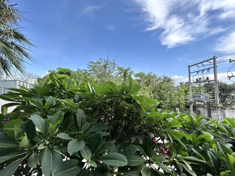 Himma Garden Condominium, Chiang Mai, Kamchai Rd, Chang Phuak, Muang Chiang Mai, Chiang Mai, 1 Bedroom, 30 sqm, Condo For Sale, by วราพร ตางจงราช, 500362879 - DDproperty.com