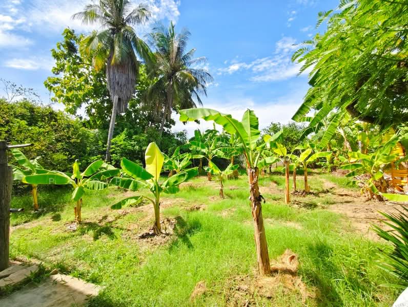 บ้านเดี่ยวท่ามะกา กาญจนบุรี, Kanchanaburi, Nong Lan, Tha Maka, Kanchanaburi, 3 Bedrooms, 100 sqm, Single Detached House For Sale, by The Best Property Agent โอ็ต, 500362904 - DDproperty.com