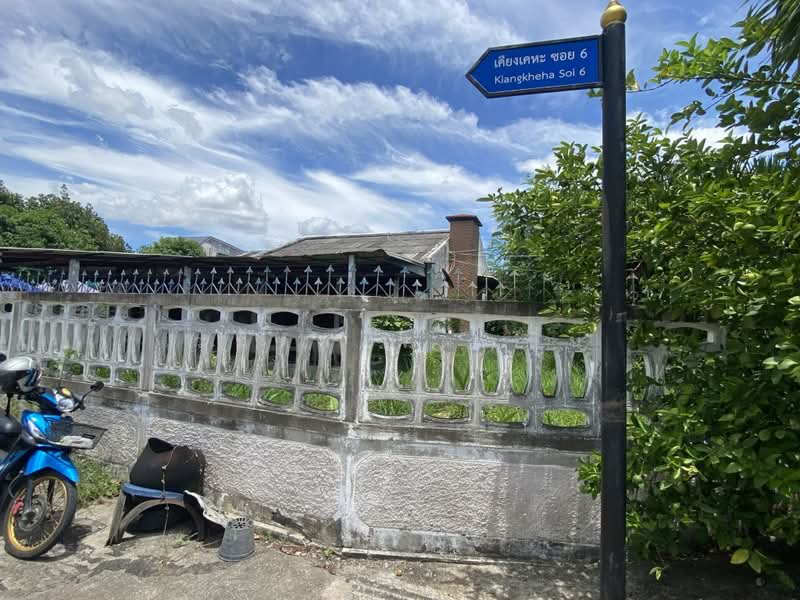 ขาย บ้านเดี่ยว พร้อมผู้เช่า ขายตามสภาพ หลังมุมเป็นส่วนตัว, นครราชสีมา, บ้านใหม่, เมืองนครราชสีมา, นครราชสีมา, 144 ตร.ม., บ้านเดี่ยว ขาย, โดย วนิดา จิตต์ชื่น, 500362978 - DDproperty.com