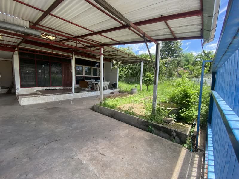 ขาย บ้านเดี่ยว พร้อมผู้เช่า ขายตามสภาพ หลังมุมเป็นส่วนตัว, Nakhon Ratchasima, Ban Mai, Muang Nakhon Ratchasima, Nakhon Ratchasima, 3 Bedrooms, 144 sqm, Single Detached House For Sale, by วนิดา จิตต์ชื่น, 500362978 - DDproperty.com