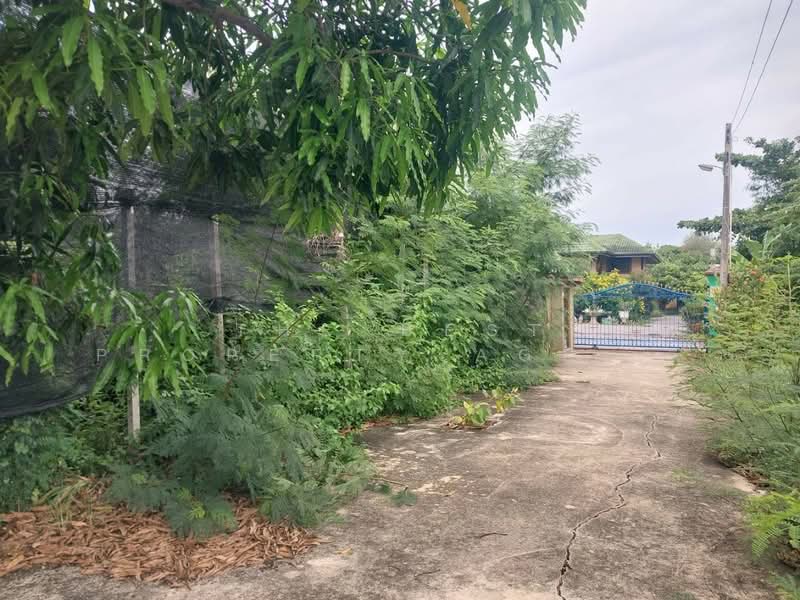 ที่ดินบ้านแพ้ว สมุทรสาคร, สมุทรสาคร, หลักสาม, บ้านแพ้ว, สมุทรสาคร, 320 ตร.ม., ที่ดิน ขาย, โดย The Best Property Agent พลอย, 500362982 - DDproperty.com