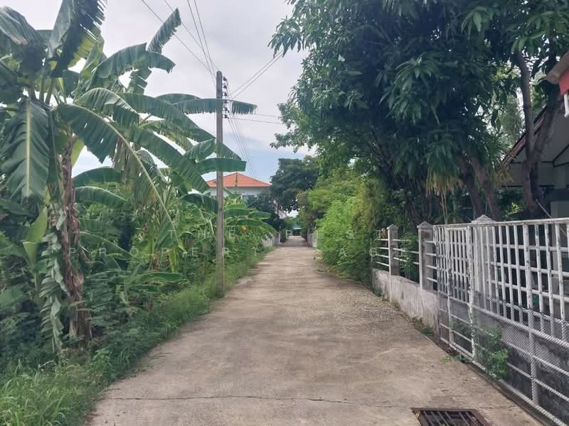 ที่ดินบ้านแพ้ว สมุทรสาคร, Samut Sakhon, Rak Sam, Ban Phaeo, Samut Sakhon, , 320 sqm, Land For Sale, by The Best Property Agent พลอย, 500362982 - DDproperty.com
