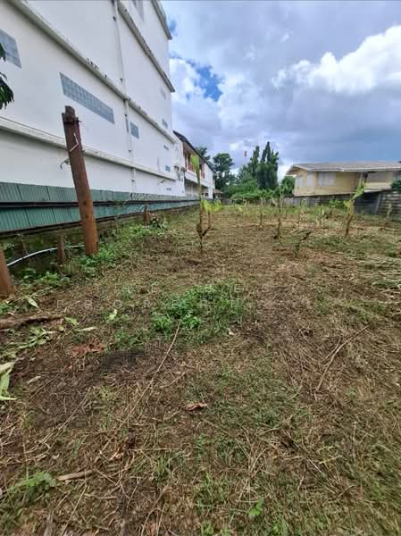 ที่ดินเวียงชัย เชียงราย, Chiang Rai, Wieng, Muang Chiang Rai, Chiang Rai, , 596 sqm, Land For Sale, by The Best Property Agent ไนล์, 500363078 - DDproperty.com