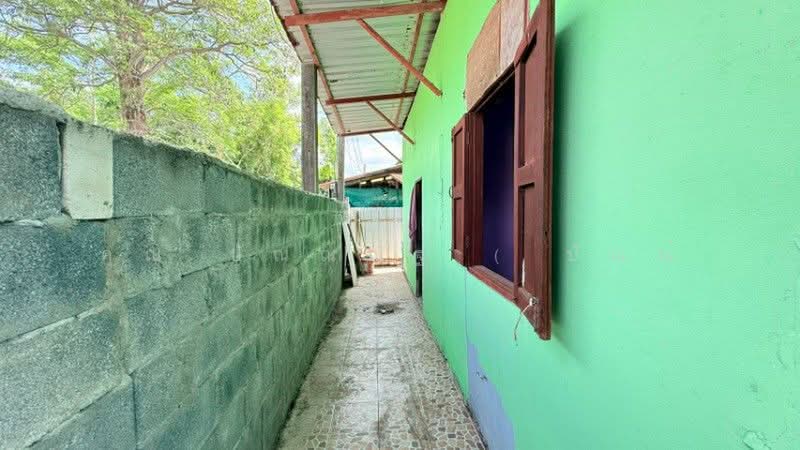 ที่ดินรังสิต - นครนายก, Pathum Thani, Lam Phak Kut, Thanyaburi, Pathum Thani, , 280 sqm, Land For Sale, by คุณ ปัณณณัฐ ( ปัณณ์ ), 500363110 - DDproperty.com