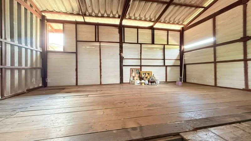 ที่ดินรังสิต - นครนายก, Pathum Thani, Lam Phak Kut, Thanyaburi, Pathum Thani, , 280 sqm, Land For Sale, by คุณ ปัณณณัฐ ( ปัณณ์ ), 500363110 - DDproperty.com