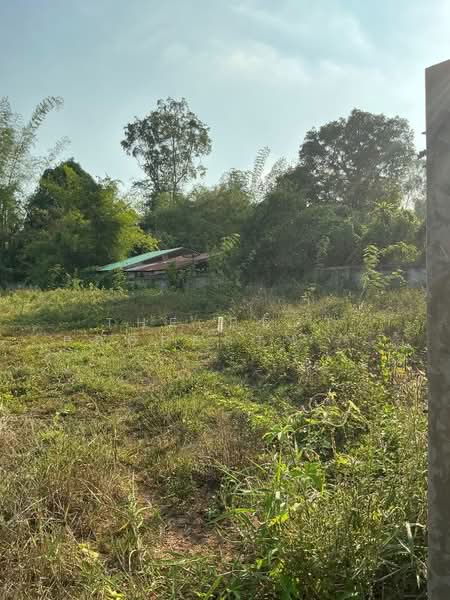 ที่ดินท่าเสา อุตรดิตถ์, Uttaradit, Tha Sao, Muang Uttaradit, Uttaradit, , 4,704 sqm, Land For Sale, by The Best Property Agent นิด, 500363216 - DDproperty.com