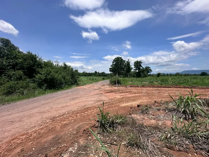 ที่ดินหนองเรือ ขอนแก่น, Khon Kaen, Nong Rua, Nong Rua, Khon Kaen, , 13,388 sqm, Land For Sale, by The Best Property ต้นอ้อ, 500363262 - DDproperty.com
