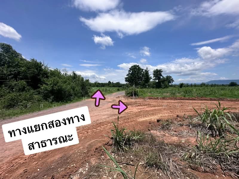 ที่ดินหนองเรือ ขอนแก่น, Khon Kaen, Nong Rua, Nong Rua, Khon Kaen, , 13,388 sqm, Land For Sale, by The Best Property ต้นอ้อ, 500363262 - DDproperty.com