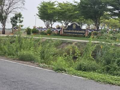 ขาย - ที่นาทำเลดี ลาดบัวหลวง พระนครศรีอยุธยา ใก้ลนนทบุรี นครปฐม เหมาะลงทุน, พระนครศรีอยุธยา