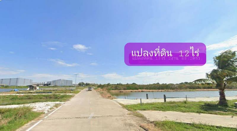 ผังเมืองสีม่วง แปลงใหญ่ ทำเลคลองส่งน้ำสุวรรณภูมิ บางบ่อ, Samut Prakan, Bang Phriang, Bang Bo, Samut Prakan, , 19,200 sqm, Land For Sale, by ERA Holding (Thailand) Co., Ltd., 500363388 - DDproperty.com