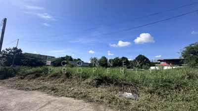 ขาย - ที่ดิน ซอย สุสวาส 23, ปทุมธานี