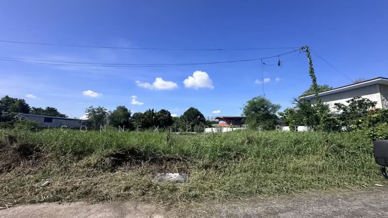 ที่ดิน ซอย สุสวาส 23, ปทุมธานี, , ลาดสวาย, ลำลูกกา, ปทุมธานี, 800 ตร.ม., ที่ดิน ขาย, โดย Connex Property, 500363679 - DDproperty.com