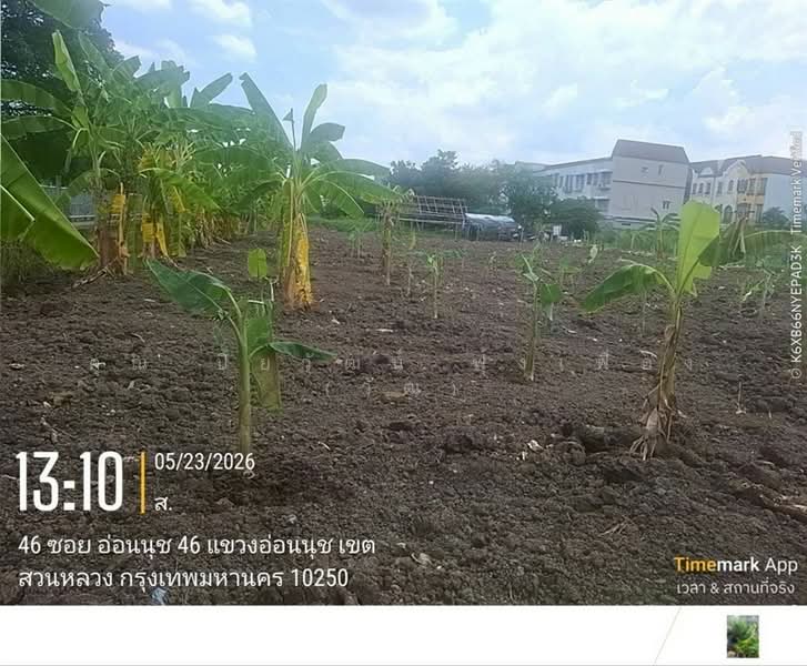 ที่ดินเปล่า 150 ตร.ว. ที่ดิน หมู่บ้านมิตรภาพ อ่อนนุช46 ซอยศรีนครินทร์36, Bangkok, ถนนอ่อนนุช, Bang Chak, Phra Khanong, Bangkok, , 600 sqm, Land For Sale, by คุณ ปิยวัฒน์ ฟุ้งเฟื่อง (วัฒ), 500363690 - DDproperty.com