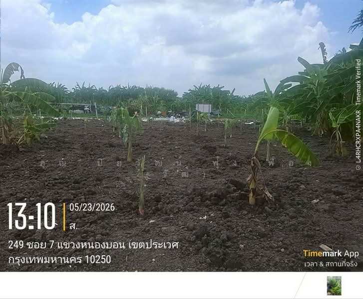 ที่ดินเปล่า 150 ตร.ว. ที่ดิน หมู่บ้านมิตรภาพ อ่อนนุช46 ซอยศรีนครินทร์36, กรุงเทพ, ถนนอ่อนนุช, บางจาก, พระโขนง, กรุงเทพ, 600 ตร.ม., ที่ดิน ขาย, โดย คุณ ปิยวัฒน์ ฟุ้งเฟื่อง (วัฒ), 500363690 - DDproperty.com