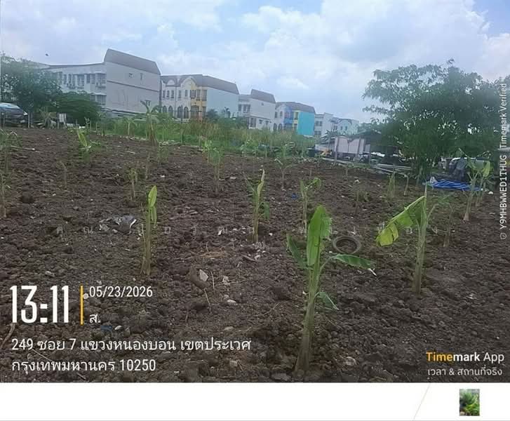 ที่ดินเปล่า 150 ตร.ว. ที่ดิน หมู่บ้านมิตรภาพ อ่อนนุช46 ซอยศรีนครินทร์36, กรุงเทพ, ถนนอ่อนนุช, บางจาก, พระโขนง, กรุงเทพ, 600 ตร.ม., ที่ดิน ขาย, โดย คุณ ปิยวัฒน์ ฟุ้งเฟื่อง (วัฒ), 500363690 - DDproperty.com