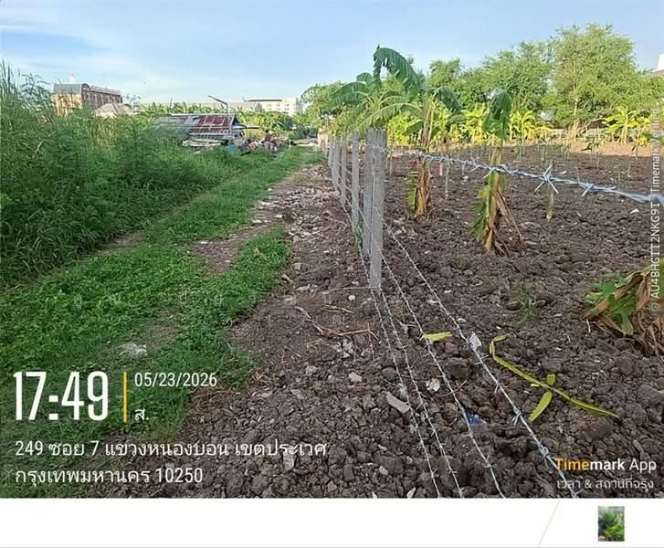 ที่ดินเปล่า 150 ตร.ว. ที่ดิน หมู่บ้านมิตรภาพ อ่อนนุช46 ซอยศรีนครินทร์36, Bangkok, ถนนอ่อนนุช, Bang Chak, Phra Khanong, Bangkok, , 600 sqm, Land For Sale, by คุณ ปิยวัฒน์ ฟุ้งเฟื่อง (วัฒ), 500363690 - DDproperty.com