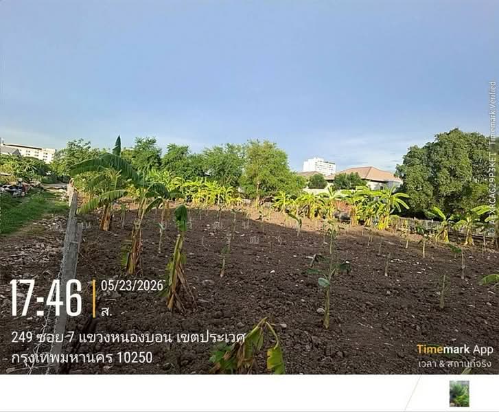 ที่ดินเปล่า 150 ตร.ว. ที่ดิน หมู่บ้านมิตรภาพ อ่อนนุช46 ซอยศรีนครินทร์36, Bangkok, ถนนอ่อนนุช, Bang Chak, Phra Khanong, Bangkok, , 600 sqm, Land For Sale, by คุณ ปิยวัฒน์ ฟุ้งเฟื่อง (วัฒ), 500363690 - DDproperty.com
