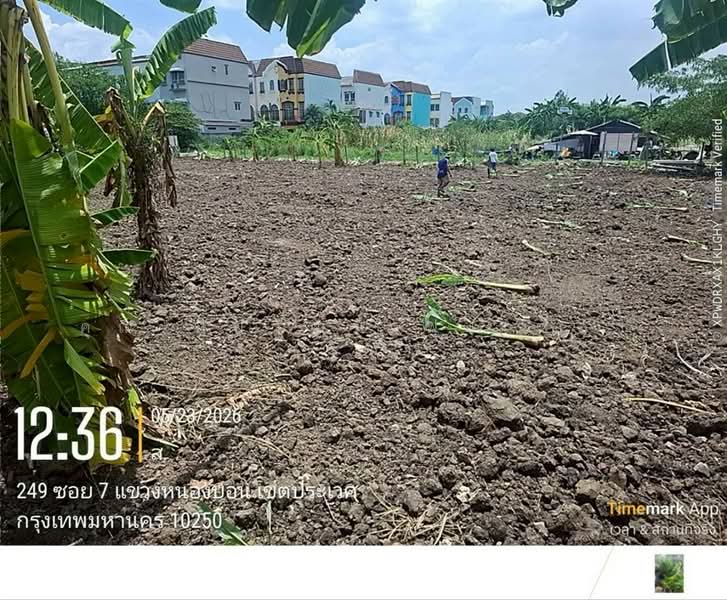 ที่ดินเปล่า 100 ตร.ว. หมู่บ้านมิตรภาพ อ่อนนุช46 ซอยศรีนครินทร์36, Bangkok, ถนนอ่อนนุช, Bang Chak, Phra Khanong, Bangkok, , 400 sqm, Land For Sale, by คุณ ปิยวัฒน์ ฟุ้งเฟื่อง (วัฒ), 500363711 - DDproperty.com