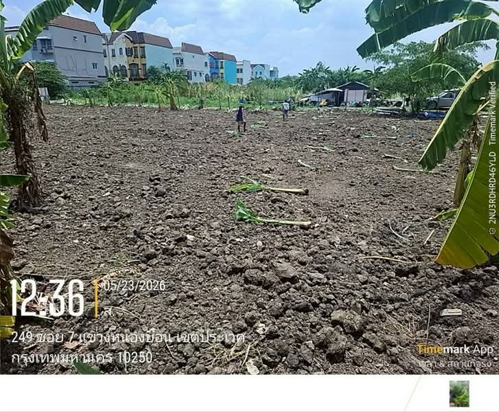 ที่ดินเปล่า 100 ตร.ว. หมู่บ้านมิตรภาพ อ่อนนุช46 ซอยศรีนครินทร์36, Bangkok, ถนนอ่อนนุช, Bang Chak, Phra Khanong, Bangkok, , 400 sqm, Land For Sale, by คุณ ปิยวัฒน์ ฟุ้งเฟื่อง (วัฒ), 500363711 - DDproperty.com
