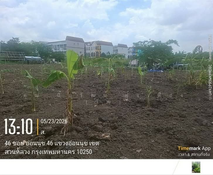 ที่ดินเปล่า 100 ตร.ว. หมู่บ้านมิตรภาพ อ่อนนุช46 ซอยศรีนครินทร์36, Bangkok, ถนนอ่อนนุช, Bang Chak, Phra Khanong, Bangkok, , 400 sqm, Land For Sale, by คุณ ปิยวัฒน์ ฟุ้งเฟื่อง (วัฒ), 500363711 - DDproperty.com