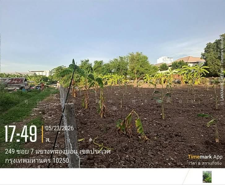 ที่ดินเปล่า 100 ตร.ว. หมู่บ้านมิตรภาพ อ่อนนุช46 ซอยศรีนครินทร์36, Bangkok, ถนนอ่อนนุช, Bang Chak, Phra Khanong, Bangkok, , 400 sqm, Land For Sale, by คุณ ปิยวัฒน์ ฟุ้งเฟื่อง (วัฒ), 500363711 - DDproperty.com