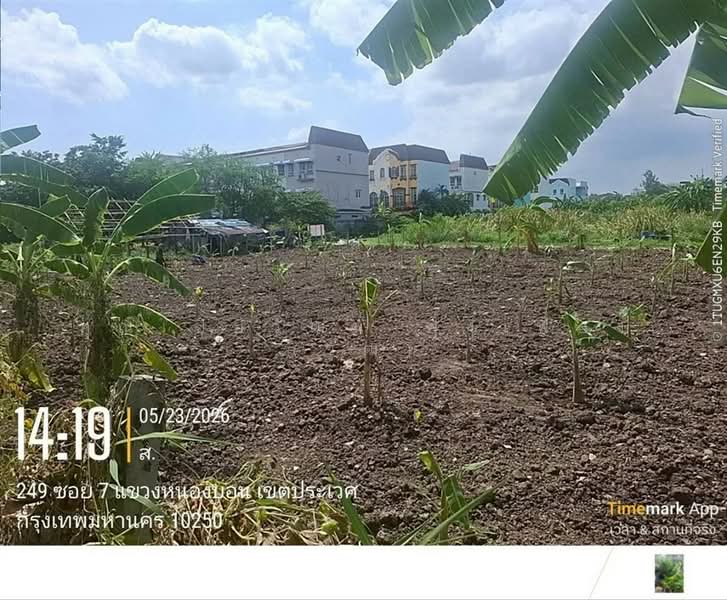 ที่ดินเปล่า 100 ตร.ว. หมู่บ้านมิตรภาพ อ่อนนุช46 ซอยศรีนครินทร์36, Bangkok, ถนนอ่อนนุช, Bang Chak, Phra Khanong, Bangkok, , 400 sqm, Land For Sale, by คุณ ปิยวัฒน์ ฟุ้งเฟื่อง (วัฒ), 500363711 - DDproperty.com