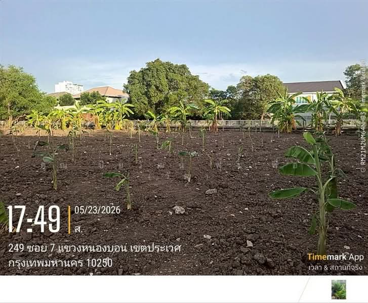 ที่ดินเปล่า 100 ตร.ว. หมู่บ้านมิตรภาพ อ่อนนุช46 ซอยศรีนครินทร์36, Bangkok, ถนนอ่อนนุช, Bang Chak, Phra Khanong, Bangkok, , 400 sqm, Land For Sale, by คุณ ปิยวัฒน์ ฟุ้งเฟื่อง (วัฒ), 500363711 - DDproperty.com