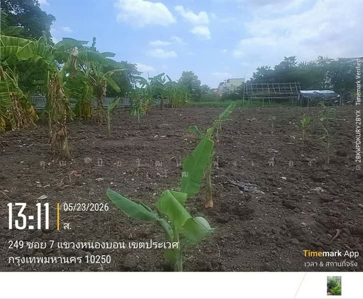 ที่ดินเปล่า 100 ตร.ว. หมู่บ้านมิตรภาพ อ่อนนุช46 ซอยศรีนครินทร์36, กรุงเทพ, ถนนอ่อนนุช, บางจาก, พระโขนง, กรุงเทพ, 400 ตร.ม., ที่ดิน ขาย, โดย คุณ ปิยวัฒน์ ฟุ้งเฟื่อง (วัฒ), 500363711 - DDproperty.com