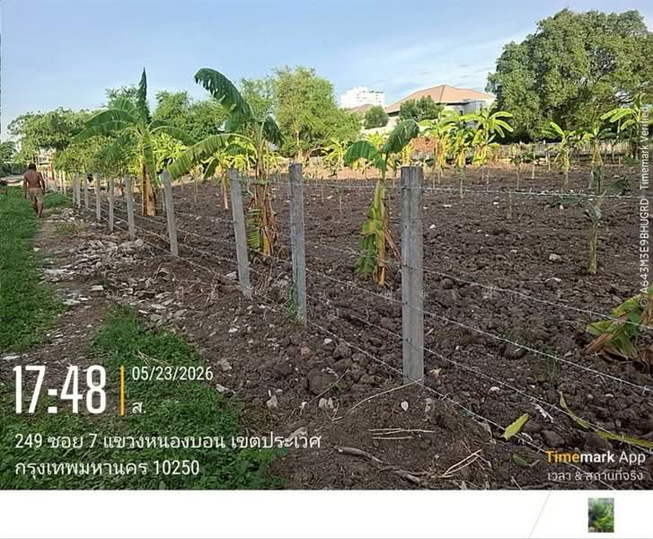 ที่ดินเปล่า 100 ตร.ว. หมู่บ้านมิตรภาพ อ่อนนุช46 ซอยศรีนครินทร์36, Bangkok, ถนนอ่อนนุช, Bang Chak, Phra Khanong, Bangkok, , 400 sqm, Land For Sale, by คุณ ปิยวัฒน์ ฟุ้งเฟื่อง (วัฒ), 500363711 - DDproperty.com