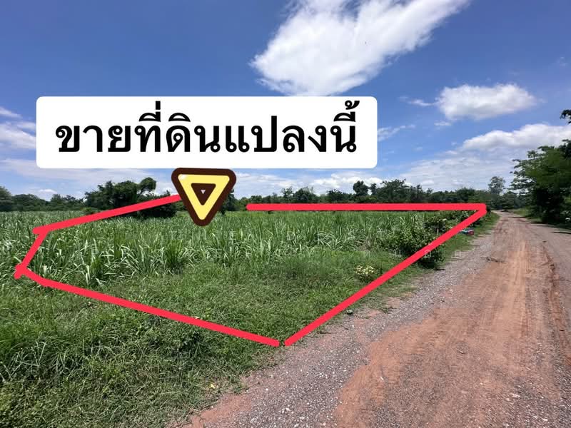 ที่ดินหนองเรือ ขอนแก่น, ขอนแก่น, กุดกว้าง, หนองเรือ, ขอนแก่น, 6,572 ตร.ม., ที่ดิน ขาย, โดย The Best Property ต้นอ้อ, 500363726 - DDproperty.com