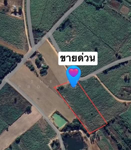 ที่ดินหนองเรือ ขอนแก่น, Khon Kaen, Kut Kwang, Nong Rua, Khon Kaen, , 6,572 sqm, Land For Sale, by The Best Property ต้นอ้อ, 500363726 - DDproperty.com
