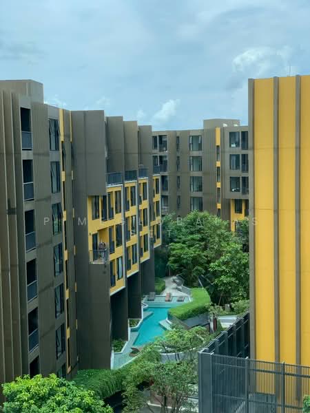 The Base Downtown, Phuket, Wichit Songkhram, Wichit, Muang Phuket, Phuket, 1 Bedroom, 29 sqm, Condo For Rent, by PimeGlobalAsset, 500363779 - DDproperty.com