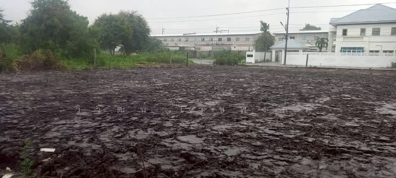 Pruksa Ville 106 Rangsit-Klong 2 : พฤกษาวิลล์ 106 รังสิต-คลองสอง, ปทุมธานี, ถนนรังสิต-นครนายก (ช่วงคลองสอง), ประชาธิปัตย์, ธัญบุรี, ปทุมธานี, 1,216 ตร.ม., ที่ดิน ขาย, โดย วิวัฒน์ เวชพงศา, 500363905 - DDproperty.com