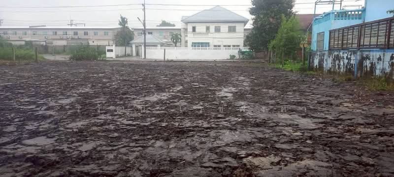 Pruksa Ville 106 Rangsit-Klong 2 : พฤกษาวิลล์ 106 รังสิต-คลองสอง, ปทุมธานี, ถนนรังสิต-นครนายก (ช่วงคลองสอง), ประชาธิปัตย์, ธัญบุรี, ปทุมธานี, 1,216 ตร.ม., ที่ดิน ขาย, โดย วิวัฒน์ เวชพงศา, 500363905 - DDproperty.com
