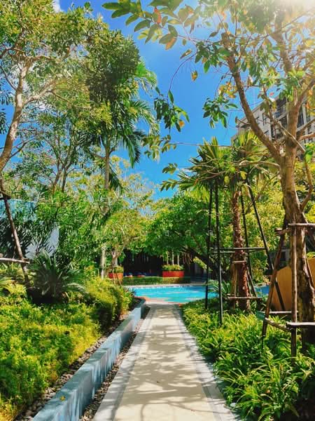 La Habana Hua Hin, Prachuap Khiri Khan, Soi Hua Hin 23, Nong Kae, Hua Hin, Prachuap Khiri Khan, 1 Bedroom, 25 sqm, Condo For Sale, by คุณ ณิชาภา, 500363986 - DDproperty.com
