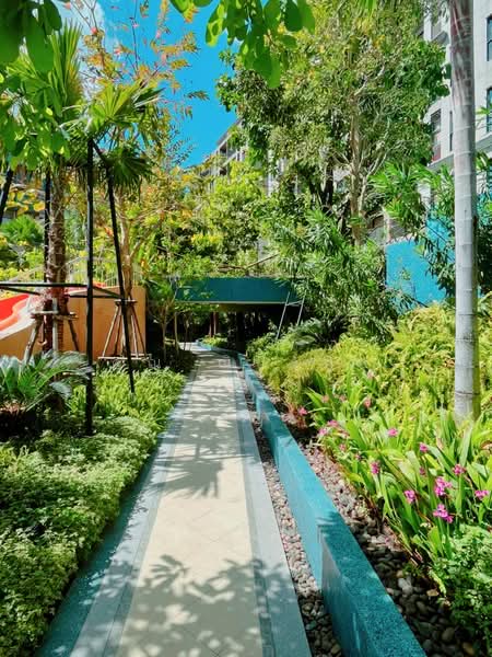 La Habana Hua Hin : ลา ฮาบานา หัวหิน, ประจวบคีรีขันธ์, ซอยหัวหิน 23, หนองแก, หัวหิน, ประจวบคีรีขันธ์, 25 ตร.ม., คอนโด ขาย, โดย คุณ ณิชาภา, 500363986 - DDproperty.com