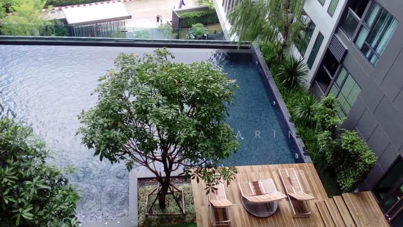 Rhythm Sukhumvit 36-38, Bangkok, 55 Soi Sukhumvit 36, Sukhumvit Road, Phra Kanong, Khlong Toei, Bangkok, 1 Bedroom, 34 sqm, Condo For Rent, by Kris Kajarin, 500364047 - DDproperty.com