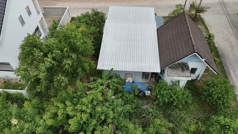 ขายที่ดินพร้อมสิ่งปลูกสร้าง 80 ตรว. สวนเสือ ศรีราชา, ชลบุรี, สุรศักดิ์, ศรีราชา, ชลบุรี, 320 ตร.ม., ที่ดิน ขาย, โดย ดุสิต แสงฟ้า, 500364182 - DDproperty.com