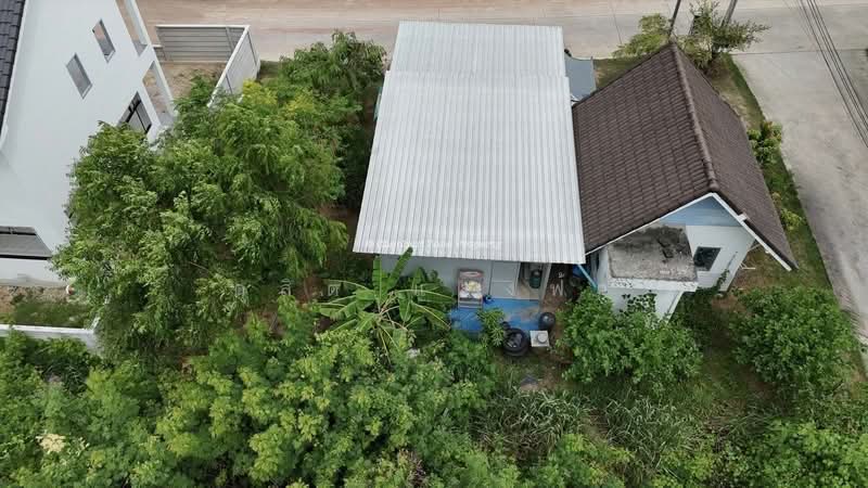 ขายที่ดินพร้อมสิ่งปลูกสร้าง 80 ตรว. สวนเสือ ศรีราชา, ชลบุรี, สุรศักดิ์, ศรีราชา, ชลบุรี, 320 ตร.ม., ที่ดิน ขาย, โดย ดุสิต แสงฟ้า, 500364182 - DDproperty.com