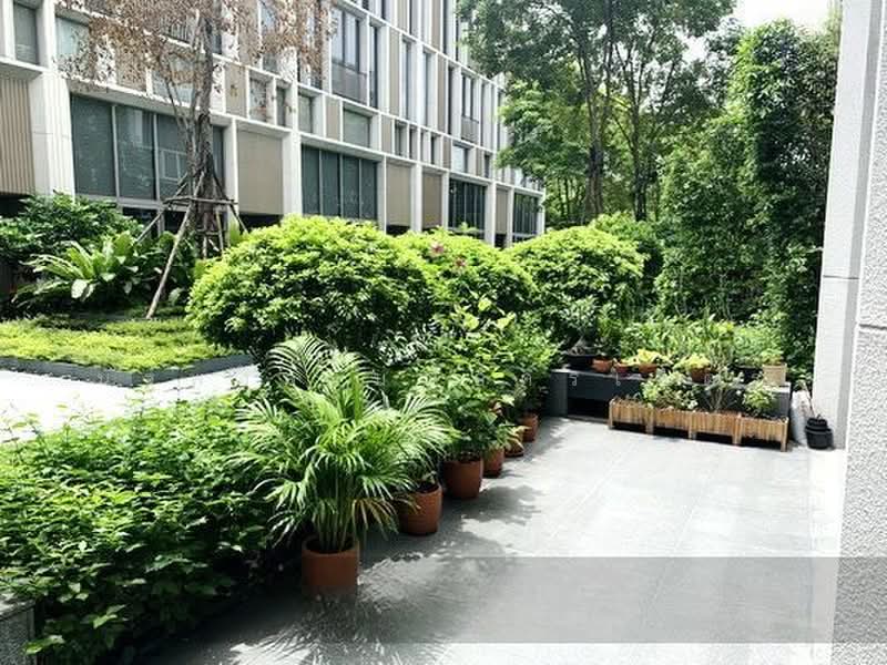 Quarter 39, Bangkok, 138 Soi Sukhumvit 39, Khlong Tan Nua, Watthana, Bangkok, 4 Bedrooms, 350 sqm, Townhouse For Rent, by นัฐพงค์ มณีอัครเนตร, 500364434 - DDproperty.com