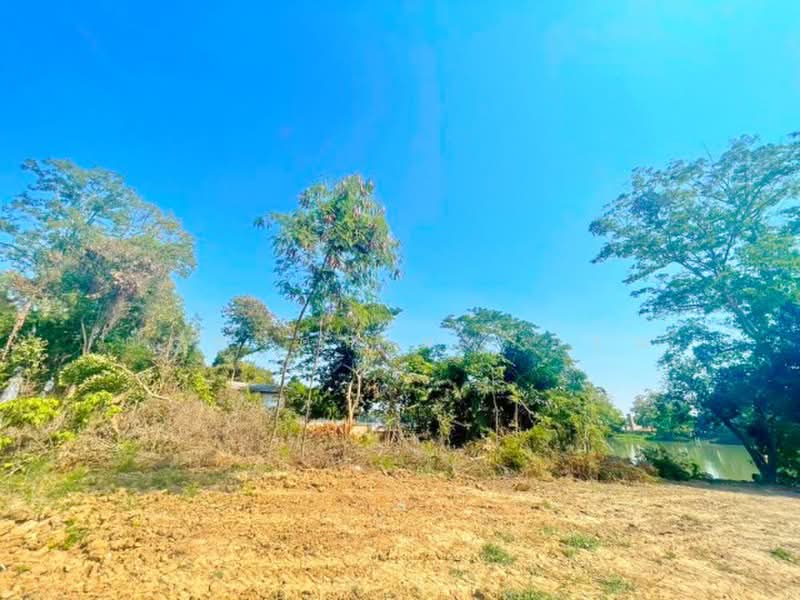 ไม่พบโครงการ, Ratchaburi, ราชบุรี-ผาปก รบ.4038, Lum Din, Muang Ratchaburi, Ratchaburi, , 36,400 sqm, Land For Rent, by ณัฐพงศ์ สุนทรอรุณ, 500364481 - DDproperty.com