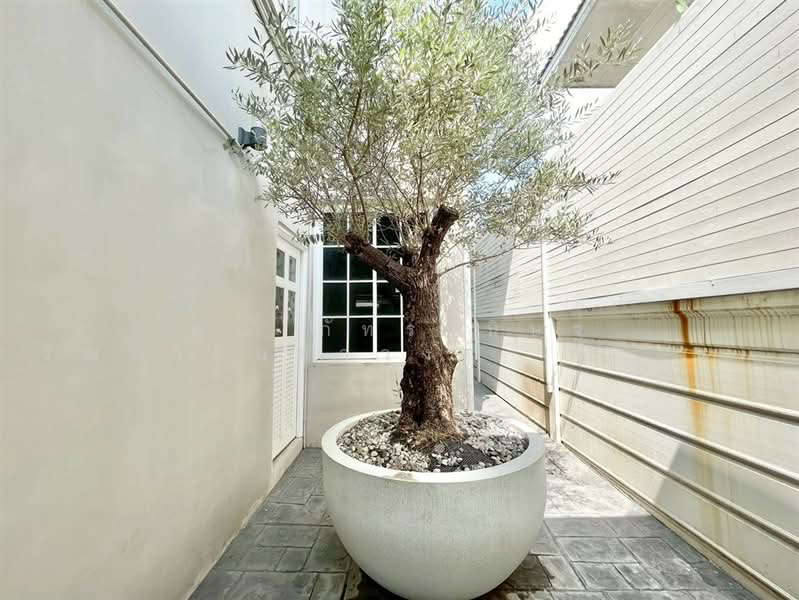 เศรณี รามอินทรา 109, Bangkok, ถนนรามอินทรา, Bang Chun, Khlong Sam Wa, Bangkok, 4 Bedrooms, 180 sqm, Single Detached House For Sale, by คุณ ภัทรานิษฐ์ วัฒนาจินดาวงศ์ (ไวท์), 500364662 - DDproperty.com