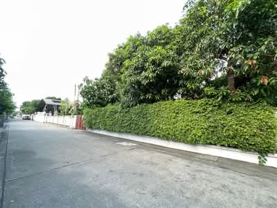 ขาย - บ้านเดี่ยว 2 ชั้น 135.9 ตร.ว. ซอยติวานนท์3 แยก15 ใกล้รถไฟฟ้าสายสีม่วง, นนทบุรี