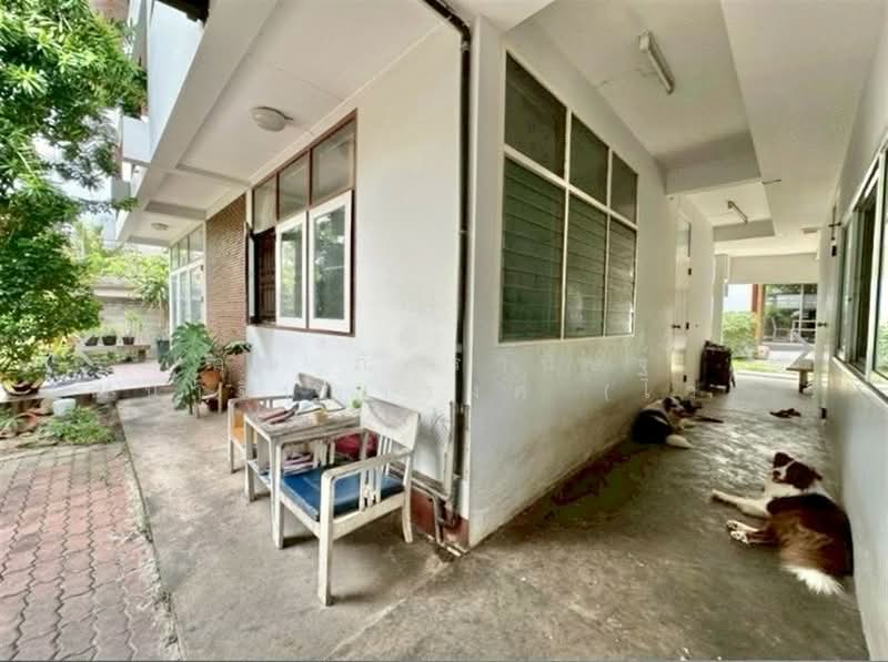 บ้านเดี่ยว 2 ชั้น 135.9 ตร.ว. ซอยติวานนท์3 แยก15 ใกล้รถไฟฟ้าสายสีม่วง, Nonthaburi, ถนนติวานนท์, Talat Kwan, Muang Nonthaburi, Nonthaburi, 6 Bedrooms, 540 sqm, Single Detached House For Sale, by คุณ ภัทรานิษฐ์ วัฒนาจินดาวงศ์ (ไวท์), 500364722 - DDproperty.com